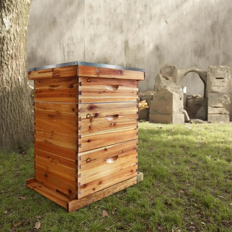 Beehive Frame Wax - Kit Completo de Colmeia de 10