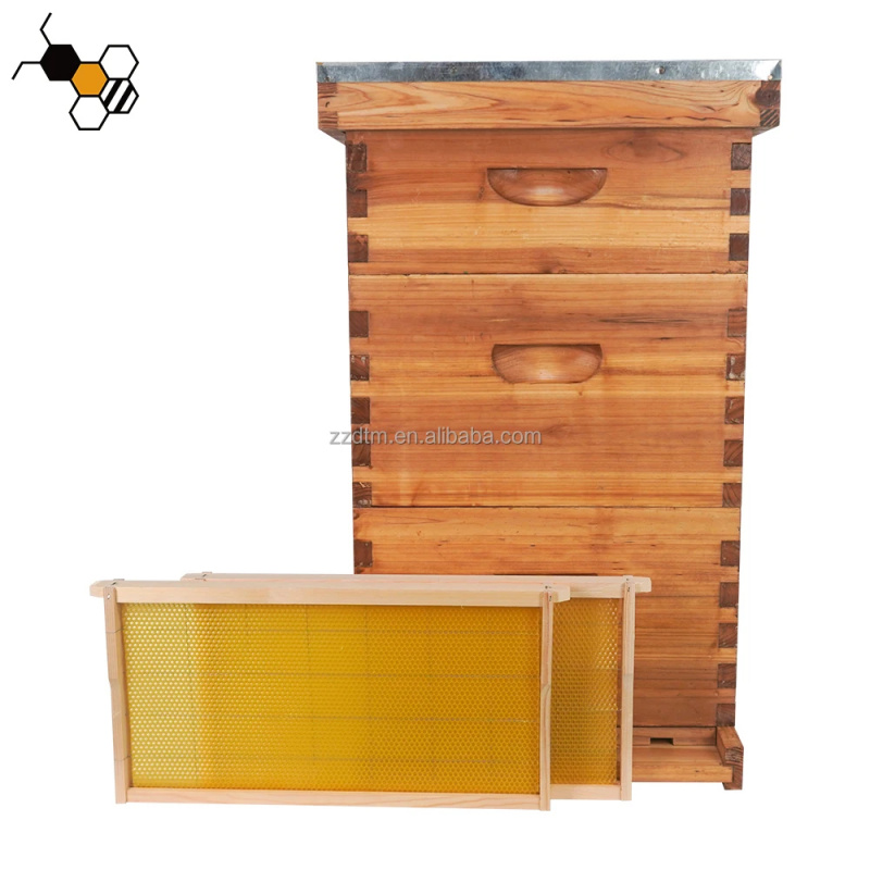 Beehive Frame Wax - Kit de Colmeia de Alta Qualidade