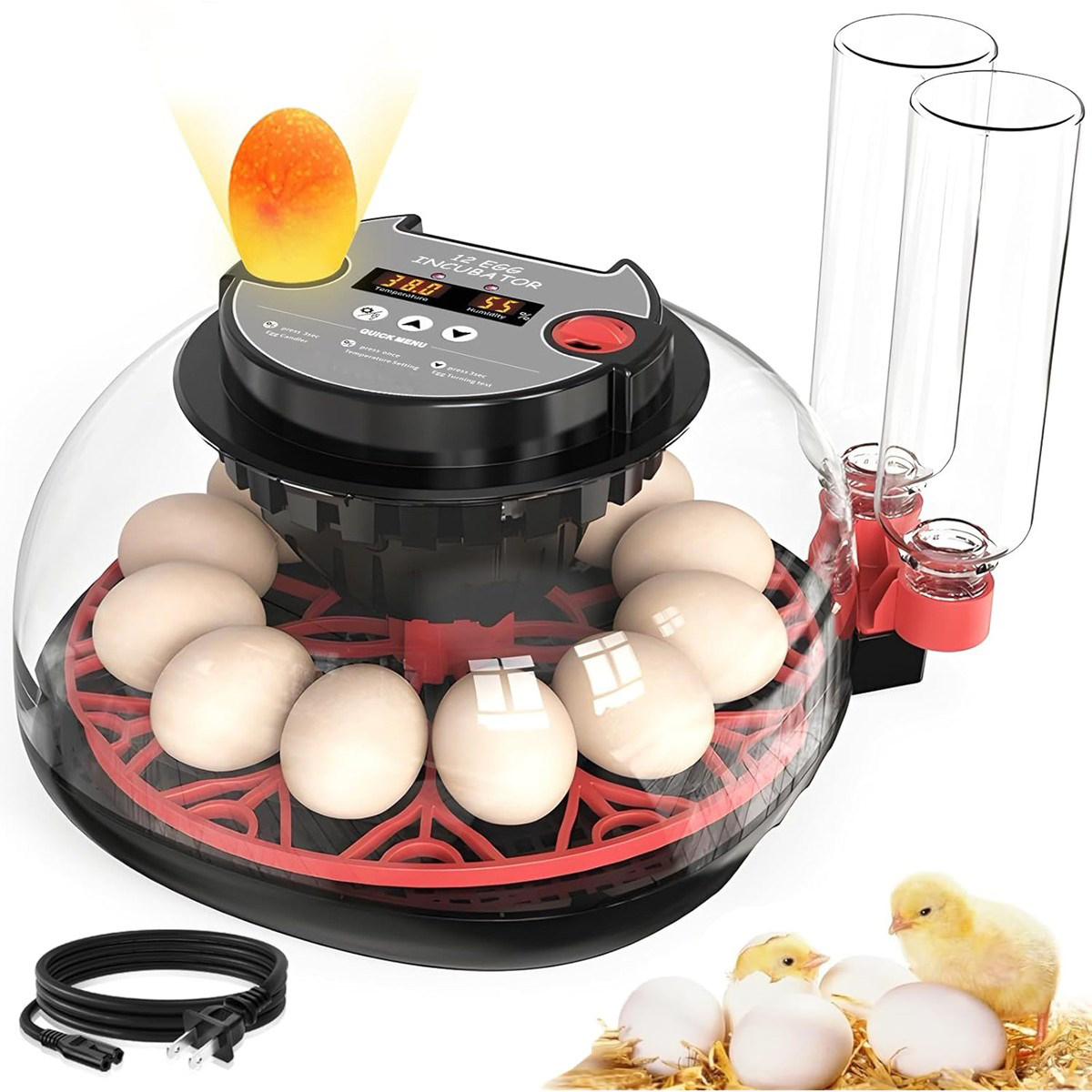 Quail Egg Incubator - Incubadora de 12 Ovos com Viragem