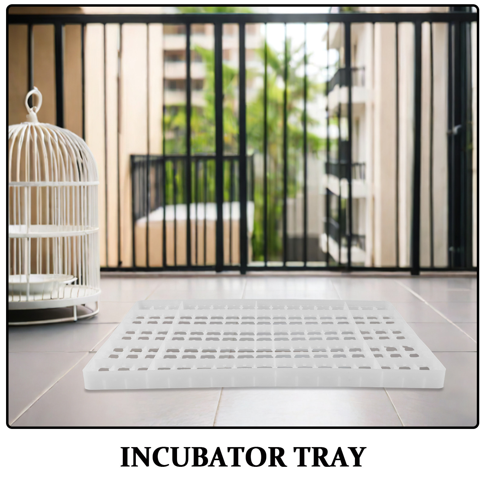 Quail Egg Incubator - 2 Bandejas para Incubadora de Ovos,