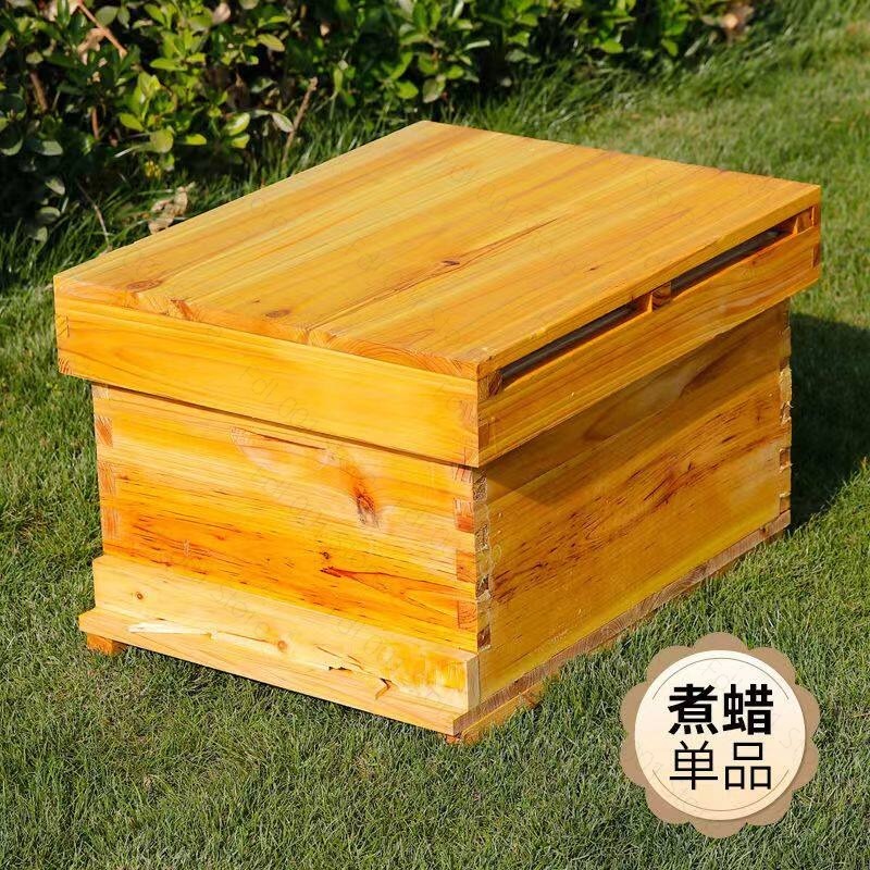 Beehive Frame Wax - Kit Completo de Colmeia com 10