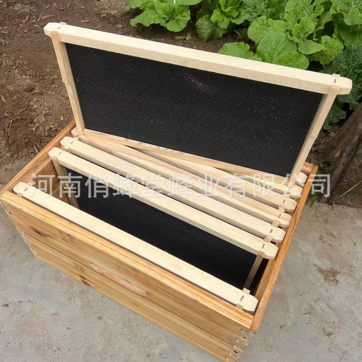 Beehive Frame Wax - Ferramentas de Apicultura de Primeira Qualidade: