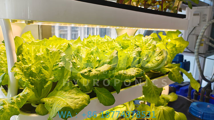 Agriculture Farming System - c Máquina agrícola para cultivo de
