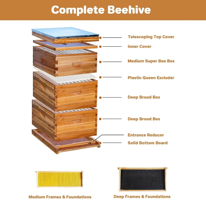 Kit Completo de Colmeia de 10  - Beehive Frame Wax avaliação e preço