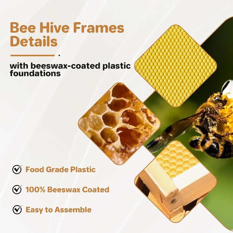 Kit Completo de Colmeia de 10  - Beehive Frame Wax avaliação e preço