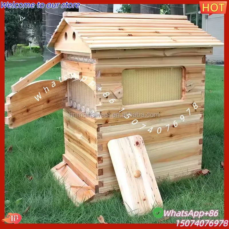 2026 Colmeia de Abelhas Automá - Beehive Frame Wax avaliação e preço