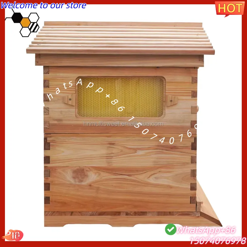 2026 Colmeia de Abelhas Automá - Beehive Frame Wax avaliação e preço
