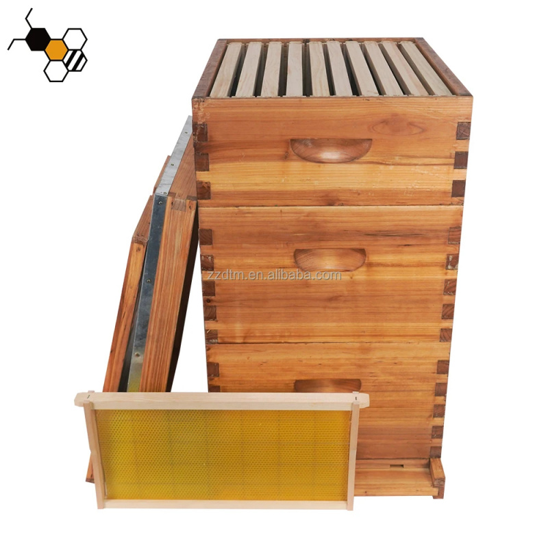 Kit de Colmeia de Alta Qualida - Beehive Frame Wax avaliação e preço