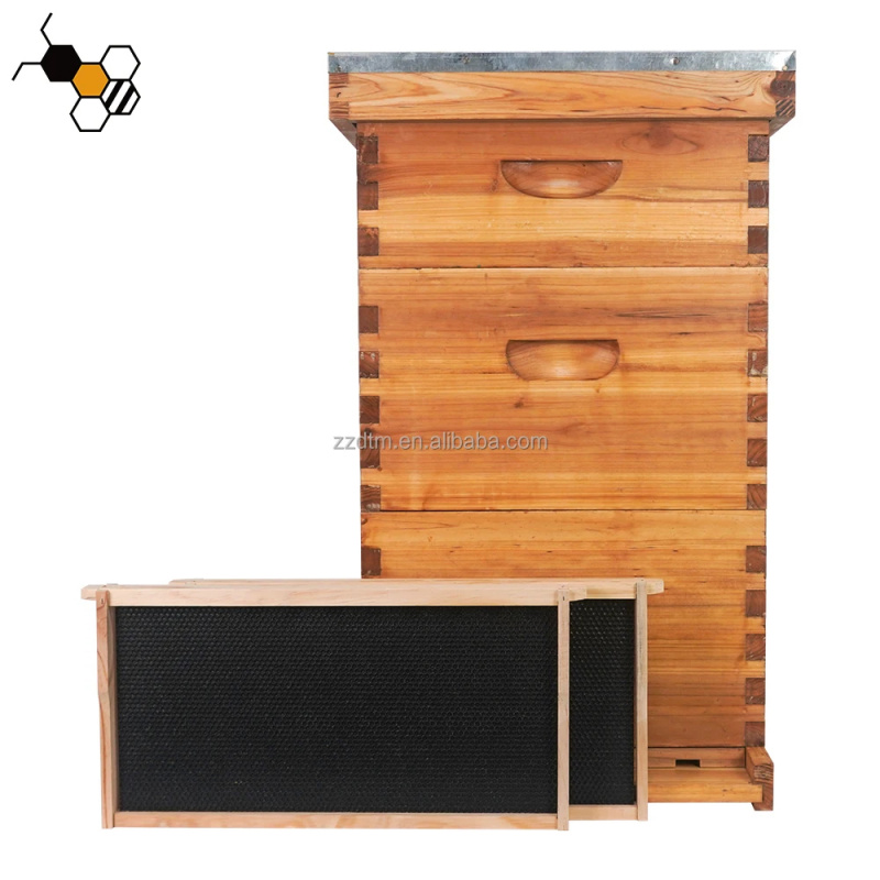 Kit de Colmeia de Alta Qualida - Beehive Frame Wax avaliação e preço
