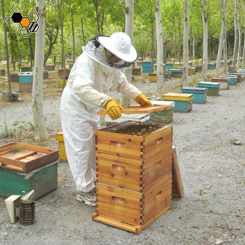 Kit de Colmeia de Alta Qualida - Beehive Frame Wax avaliação e preço