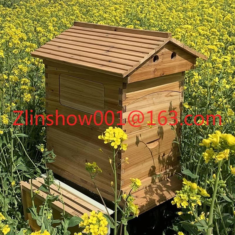 Colmeia automática com preço d - Beehive Frame Wax avaliação e preço