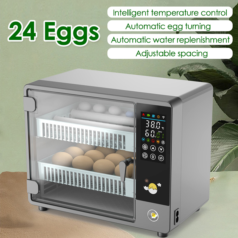 Incubadora de ovos com giro au - Quail Egg Incubator avaliação e preço