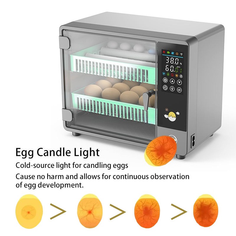 Incubadora de Ovos Totalmente  - Quail Egg Incubator avaliação e preço