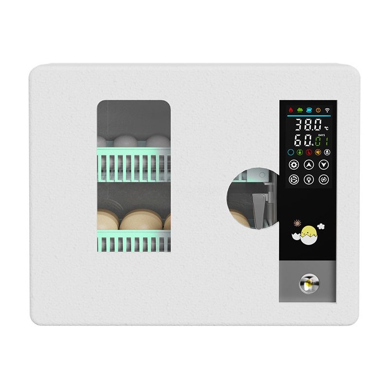 Incubadora de Ovos Totalmente  - Quail Egg Incubator avaliação e preço