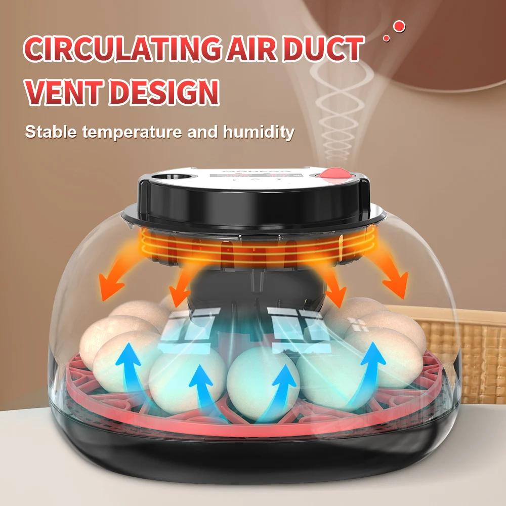 Incubadora de 12 Ovos com Vira - Quail Egg Incubator avaliação e preço
