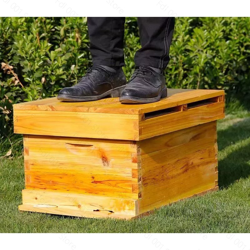 Kit Completo de Colmeia com 10 - Beehive Frame Wax avaliação e preço