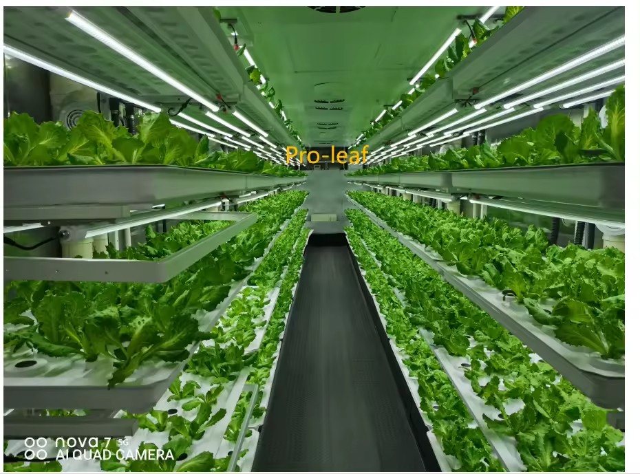 F Estufa Equipamento Agrícola  - Agriculture Farming System avaliação e preço