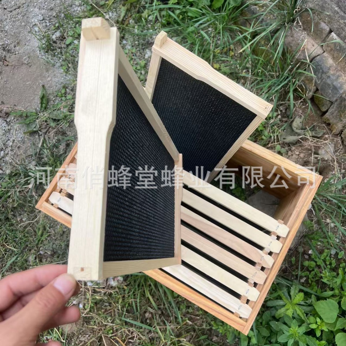 Ferramentas de Apicultura de P - Beehive Frame Wax avaliação e preço