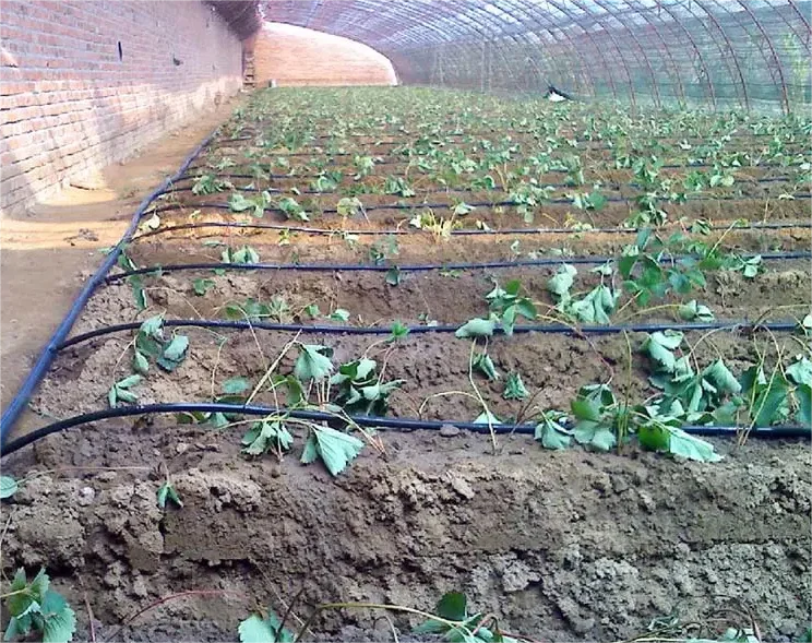 Kit de Irrigação 1HA Ferrament - Agriculture Farming System avaliação e preço