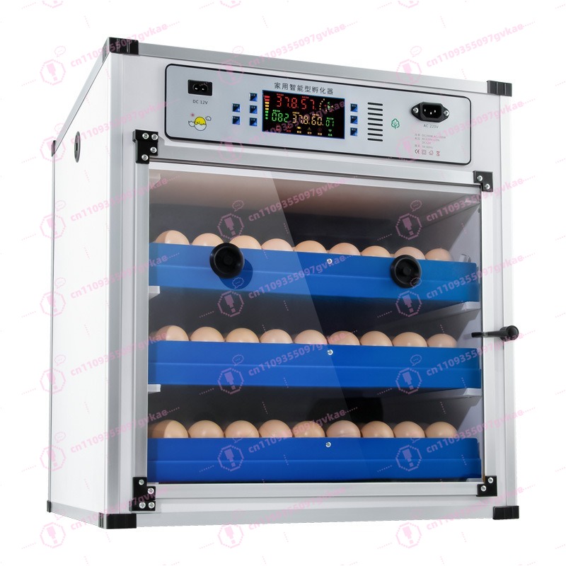 Incubadora de Ovos Portátil pa - Quail Egg Incubator avaliação e preço