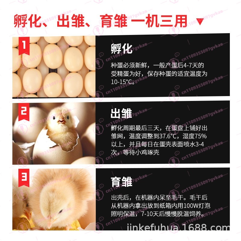 Incubadora de Ovos Portátil pa - Quail Egg Incubator avaliação e preço