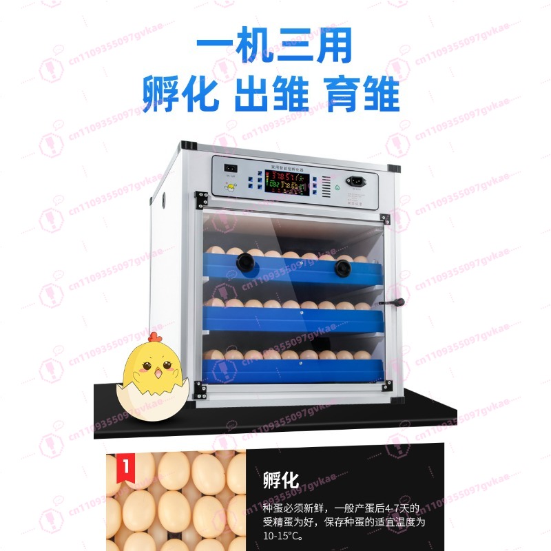 Incubadora de Ovos Portátil pa - Quail Egg Incubator avaliação e preço