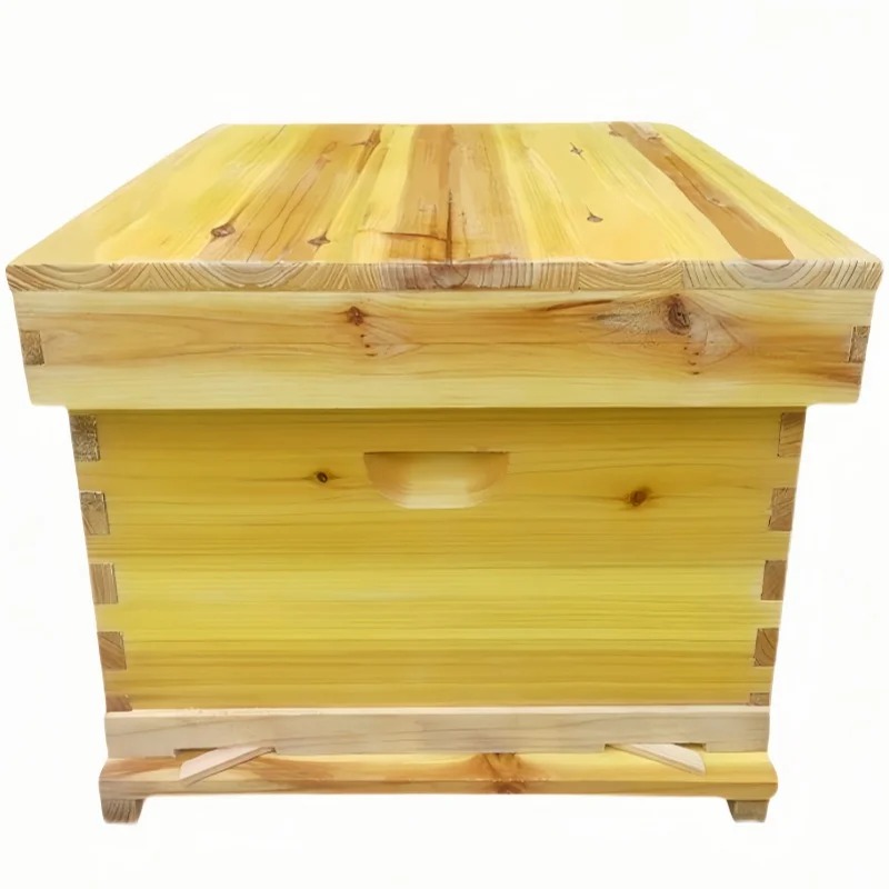 Colmeia de abelha em caixa de  - Beehive Frame Wax avaliação e preço
