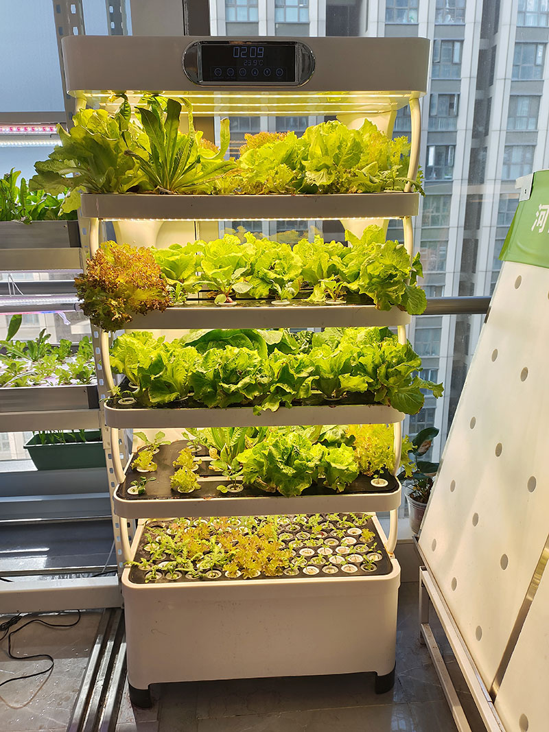 c Máquina agrícola para cultiv - Agriculture Farming System avaliação e preço