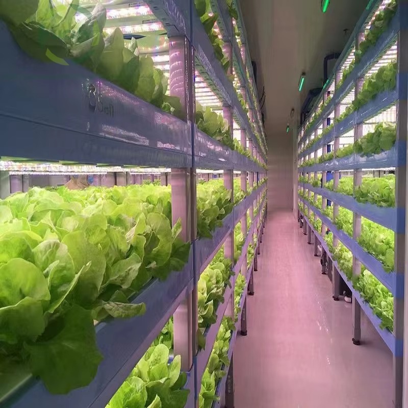 Sistema de Contêineres Hidropô - Agriculture Farming System avaliação e preço