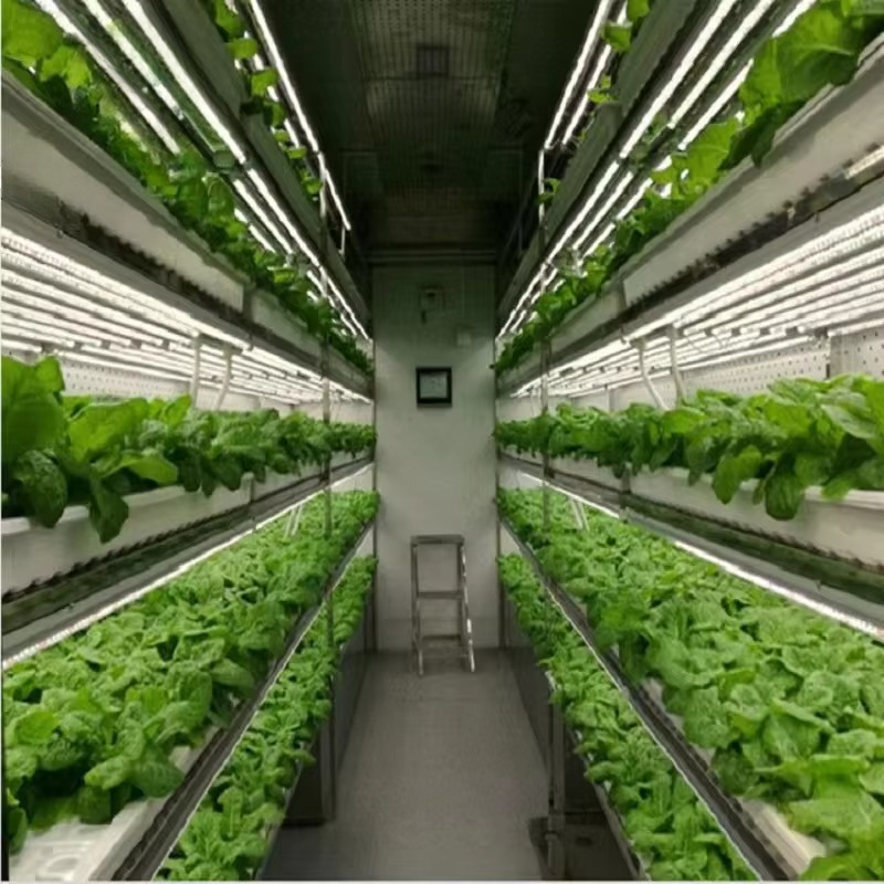 Sistema de Contêineres Hidropô - Agriculture Farming System avaliação e preço