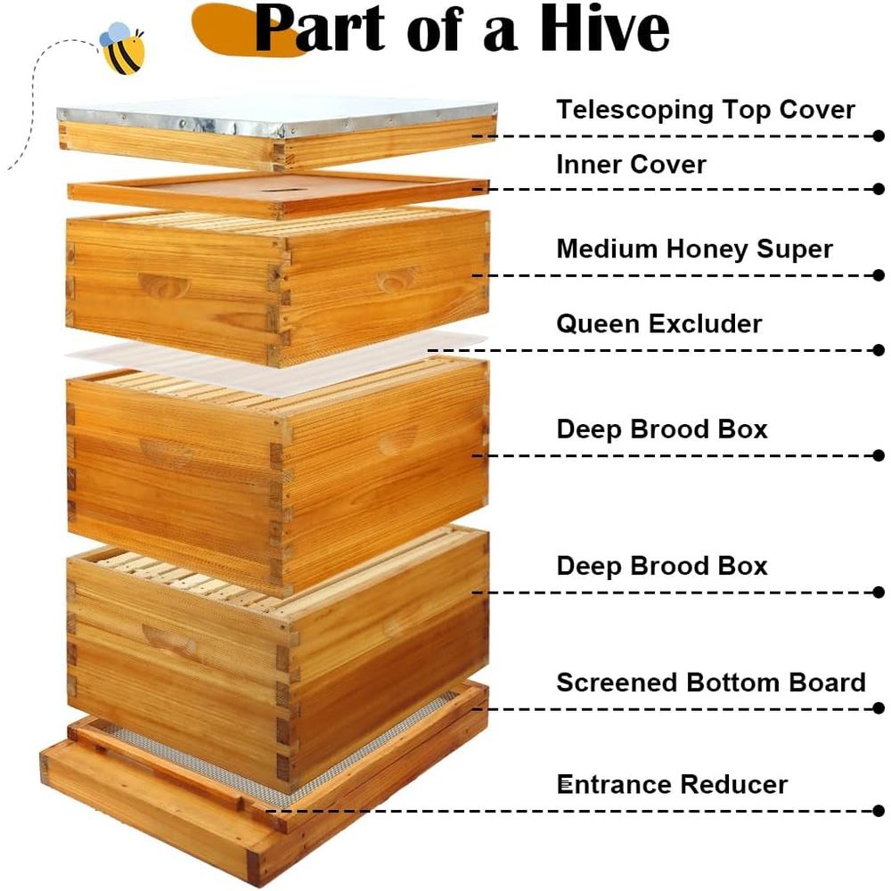 Kit de Colmeia de 10 Quadros c - Beehive Frame Wax avaliação e preço
