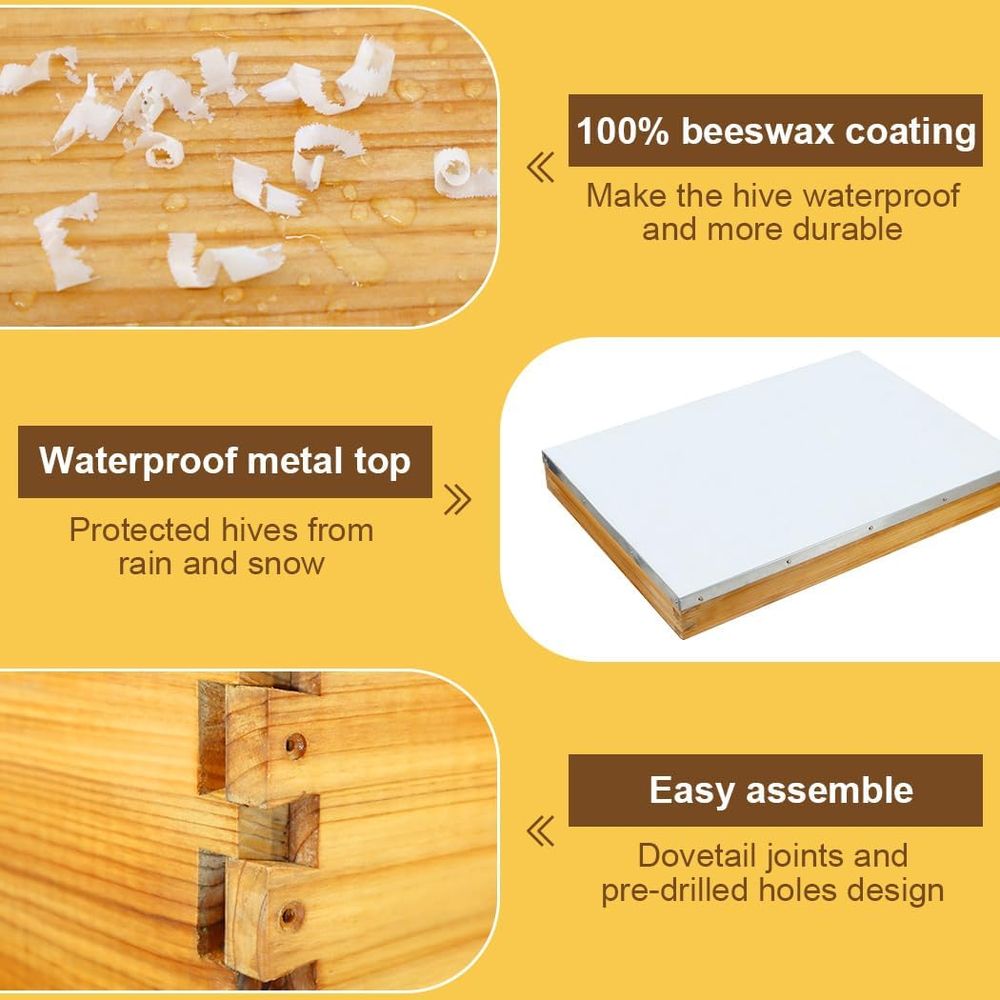 Kit de Colmeia de 10 Quadros c - Beehive Frame Wax avaliação e preço