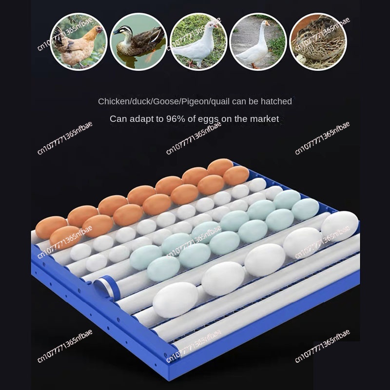 0528204/136 Incubadora Intelig - Quail Egg Incubator avaliação e preço
