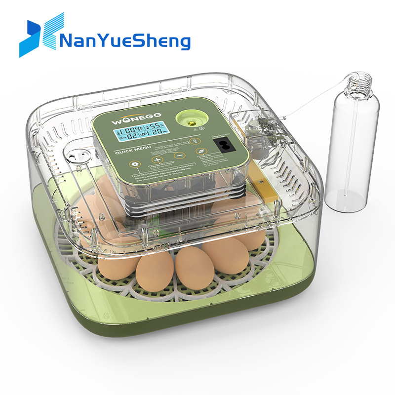Novo 12 máquina de incubação d - Quail Egg Incubator avaliação e preço