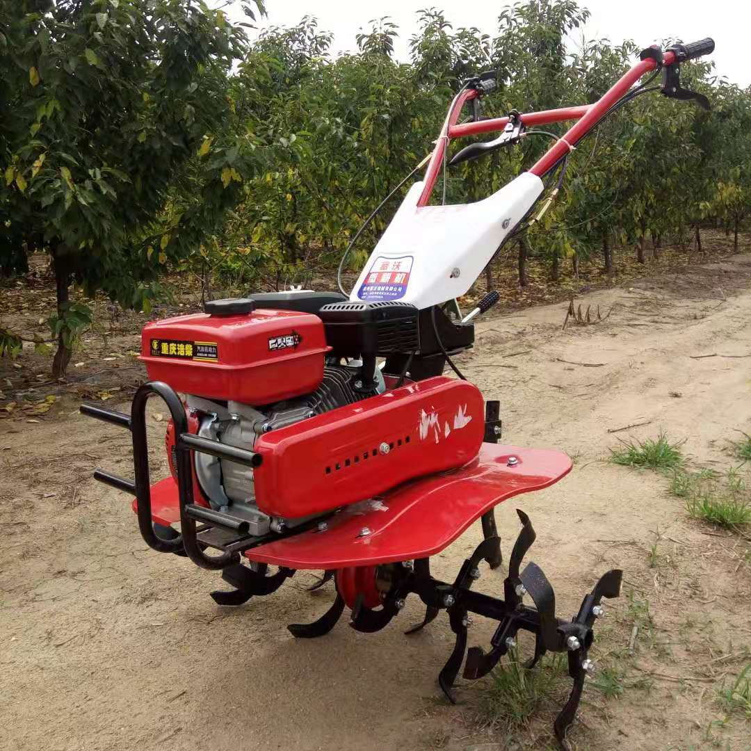 Microcultivador de Alta Produt - Farming And Agriculture Jobs avaliação e preço