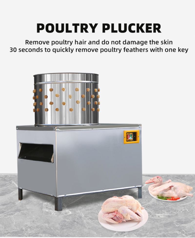 Máquina de Abate de Frangos e  - Chicken Plucker Machine avaliação e preço