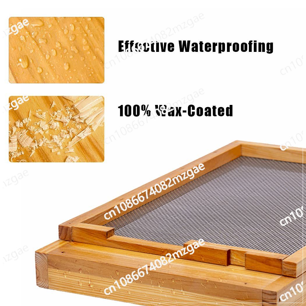 Dez molduras de colmeias são e - Beehive Frame Wax avaliação e preço