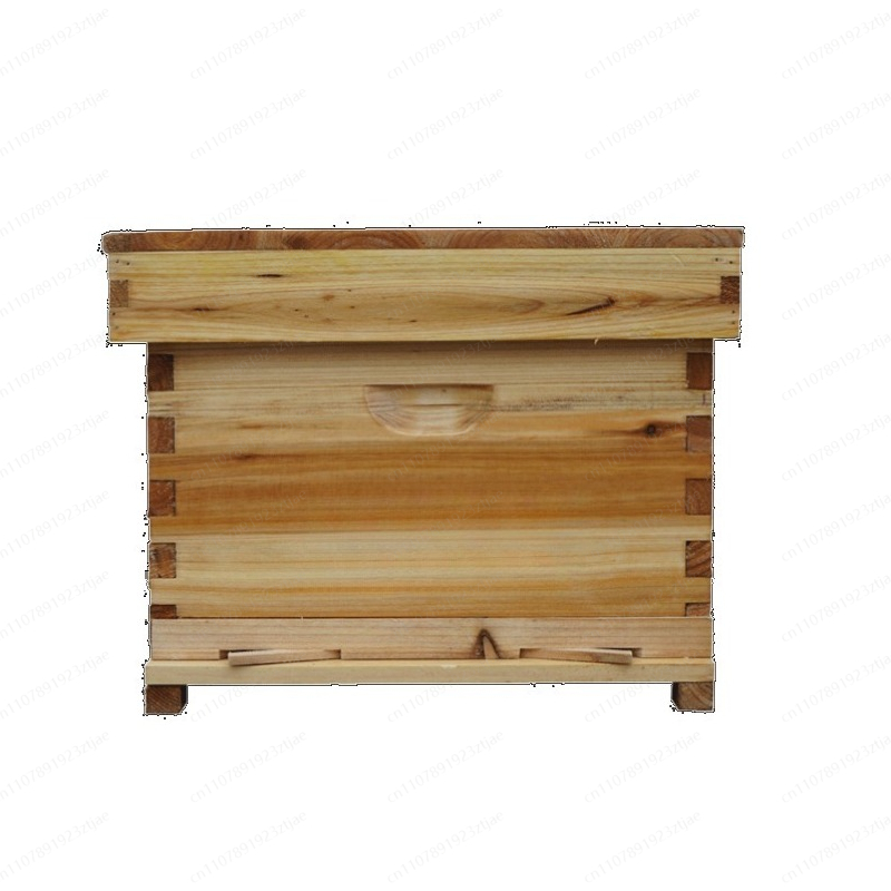 Conjunto Completo de Colmeia,  - Beehive Frame Wax avaliação e preço
