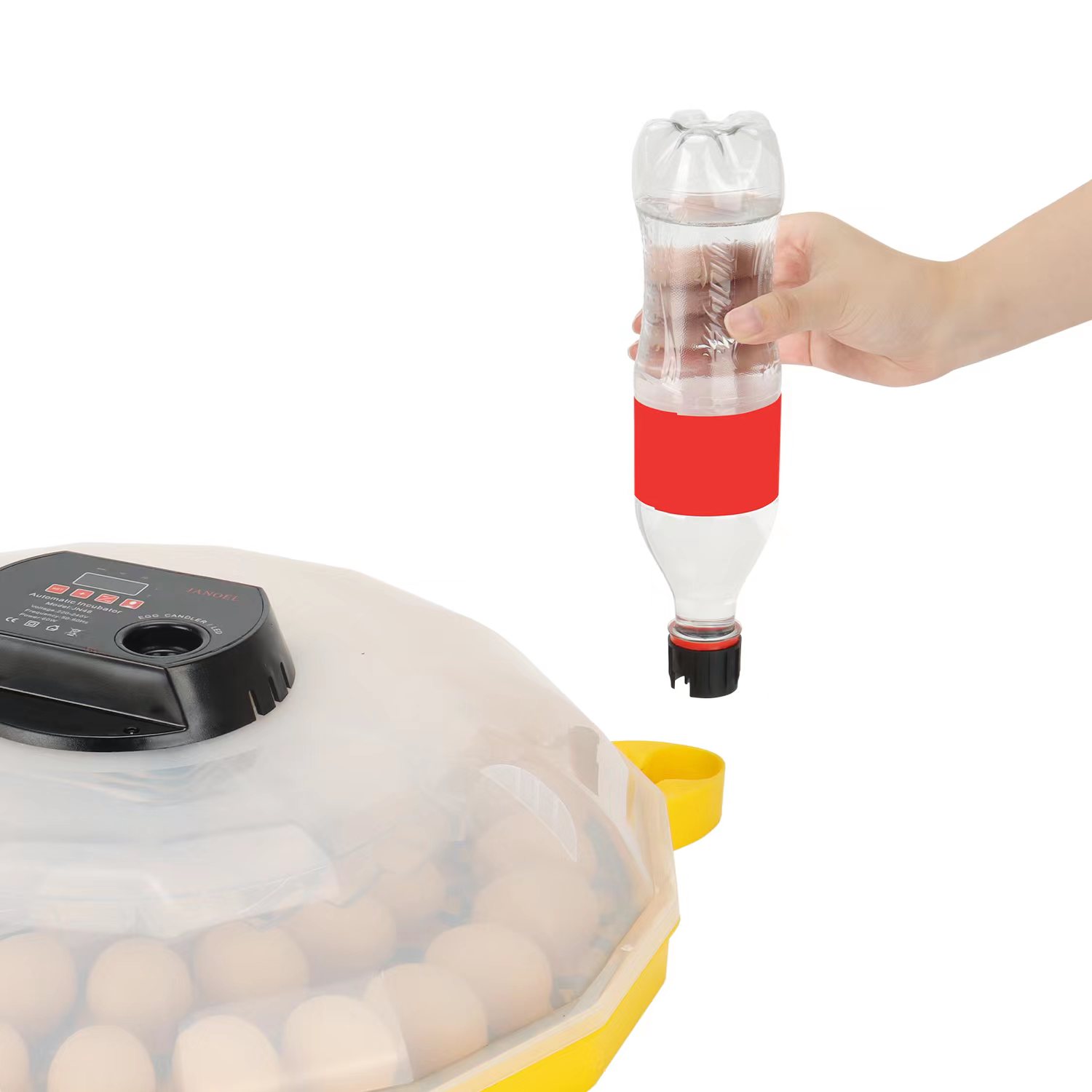 Mini Incubadora de Ovos com Ta - Quail Egg Incubator avaliação e preço