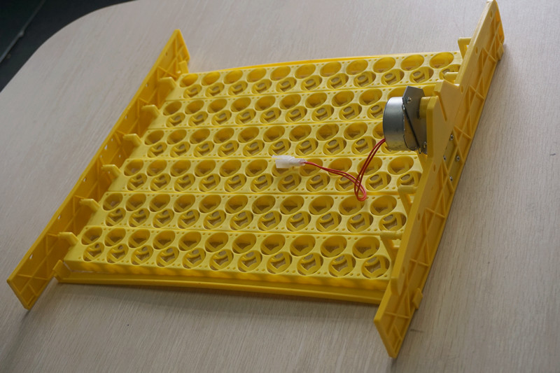 Poultry Plastic Máquina de inc - Quail Egg Incubator avaliação e preço